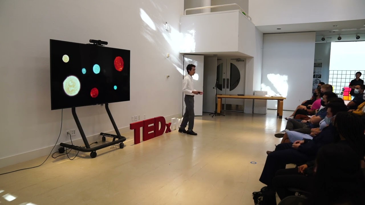A Cosmological Perspective On Life : Brandon Khek : Tedxriceu