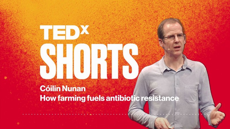 image 0 How Farming Fuels Antibiotic Resistance : Cóilin Nunan : Tedxexeter