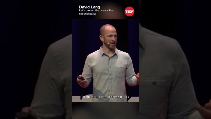 Let's Protect The Oceans Like National Parks - David Lang #shorts #tedx