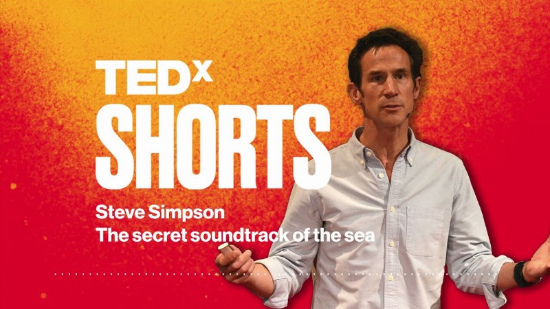 The Secret Soundtrack Of The Sea : Steve Simpson : Tedxexeter
